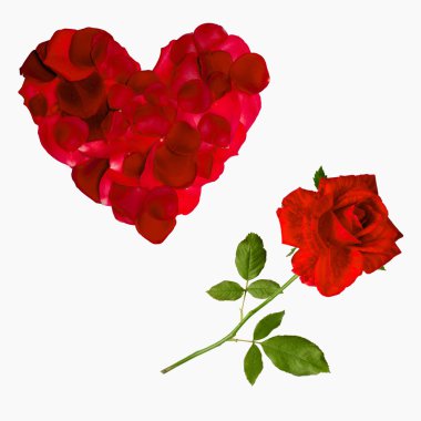 kırmızı gül yaprağı kalp Sevgililer