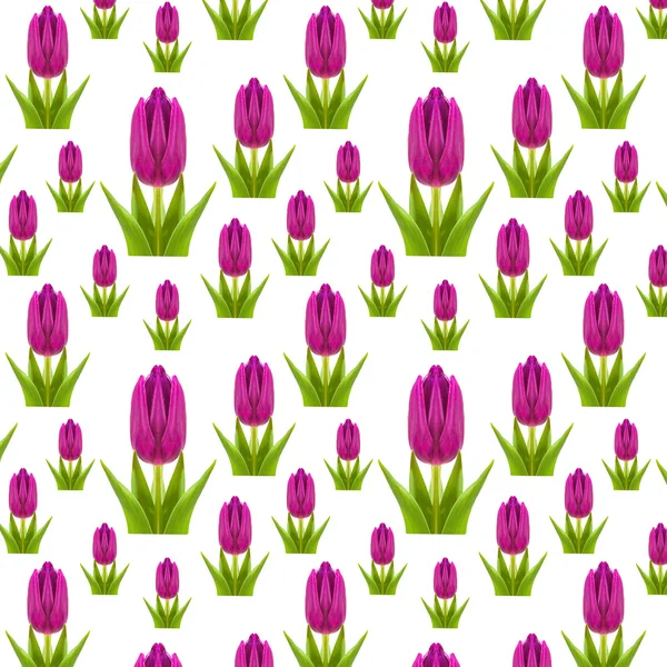 Patroon van roze en paarse tulpen — Stockfoto