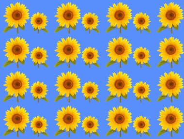  desen çiçek Ayçiçeği