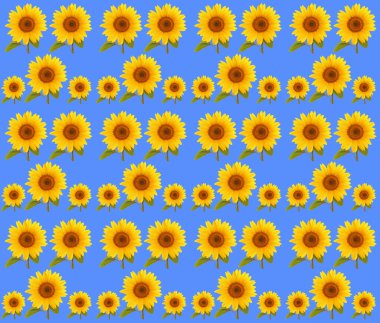  desen çiçek Ayçiçeği