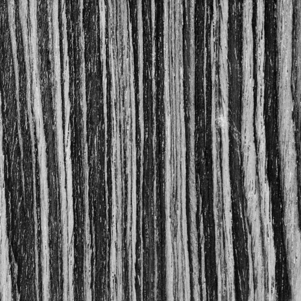 Background texture of black and white wood closeup — Stock Photo, Image