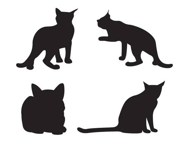 Ensemble de chats Silhouettes isolées sur fond blanc . — Image vectorielle