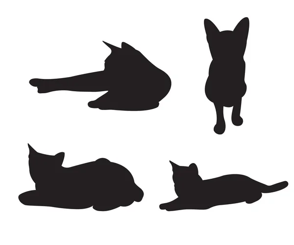 Conjunto de gatos Silhuetas isoladas sobre um fundo branco . — Vetor de Stock