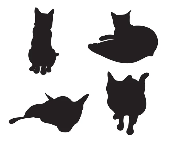 Ensemble de chats Silhouettes isolées sur fond blanc . — Image vectorielle