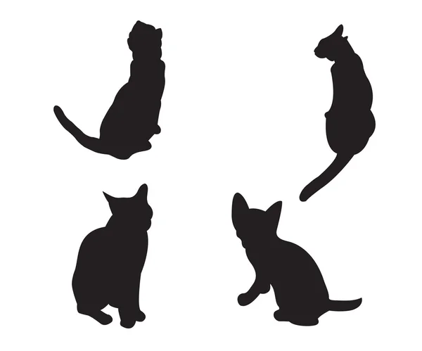 组的剪影孤立在白色背景的猫. — 图库矢量图片