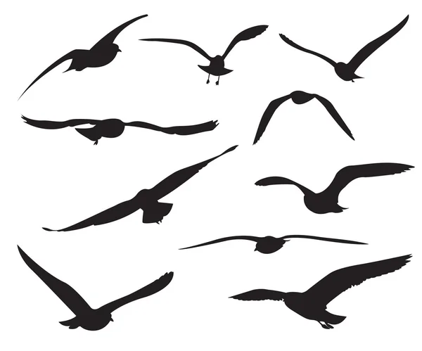 Set de Gaviotas Siluetas sobre fondo blanco — Vector de stock