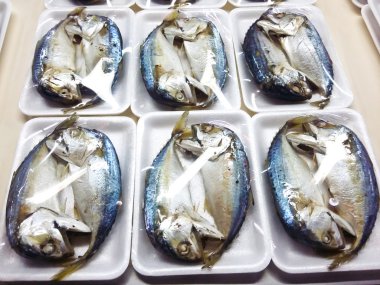 köpük içinde haşlanmış uskumru