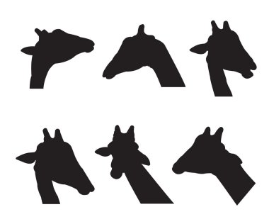 Zürafa siluetleri beyaz arka plan olarak ayarla