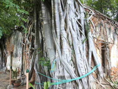 Kratai Tapınak, Tayland antik Tay kilisede seslendirdi