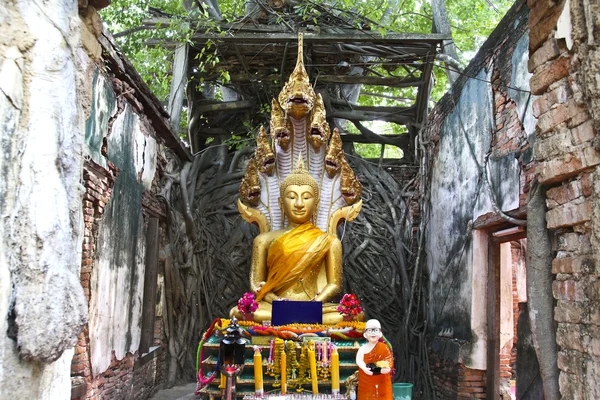 Tailandia invisible, ruinas del viejo templo con una raíz de árbol de Bodhi —  Fotos de Stock