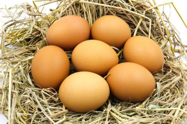 Yuvadaki yumurtalar.