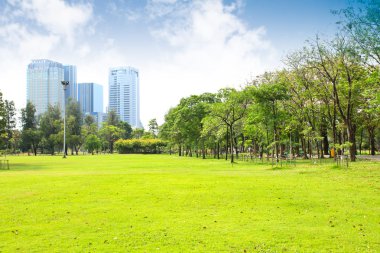 Yeşil Şehir Parkı