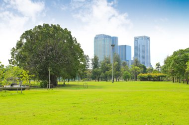 Yeşil Şehir Parkı