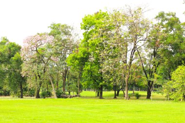 Yeşil Şehir Parkı