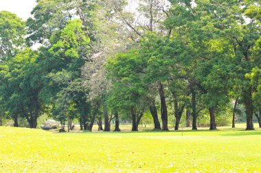 Yeşil Şehir Parkı