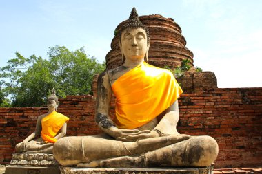 Buda heykelleri Ayutthaya, Tayland.