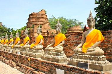 Buda heykelleri Ayutthaya, Tayland.