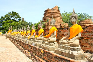 Buda heykelleri Ayutthaya, Tayland.