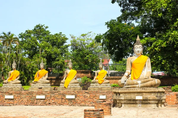 Sochy Buddhy v Ayutthaya, Thajsko. — Stock fotografie