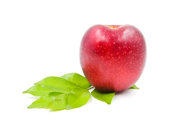 Roter Apfel isoliert auf weißem Hintergrund. — Stockfoto