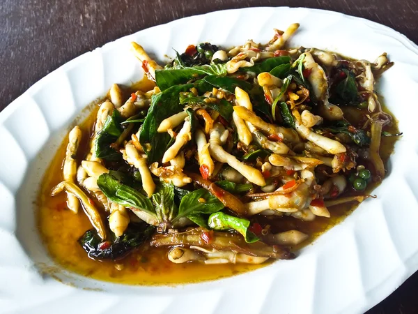 Rasoir palourdes épicé Stir-Fry, cuisine thaïlandaise — Photo