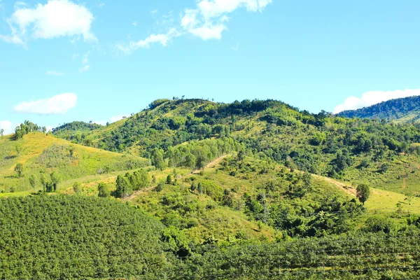 Paysage de montagne de couche, Phetchabun, Thaïlande — Photo