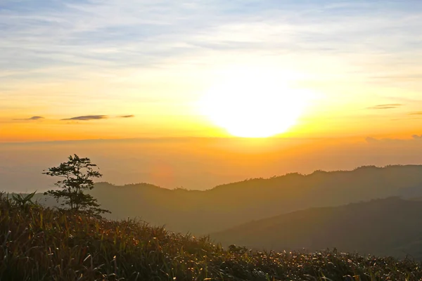 Morgonsolen över dimman forest national park, Thailand — Stockfoto