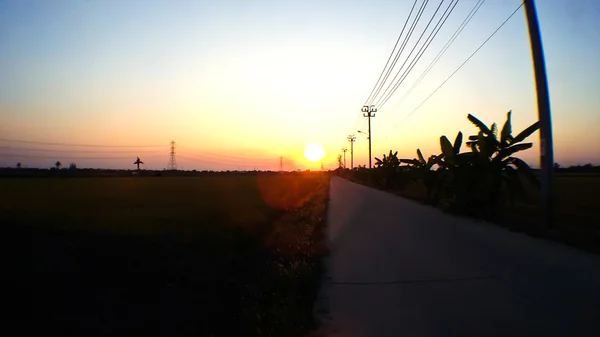 Landsväg och träd vid solnedgången siluett. — Stockfoto