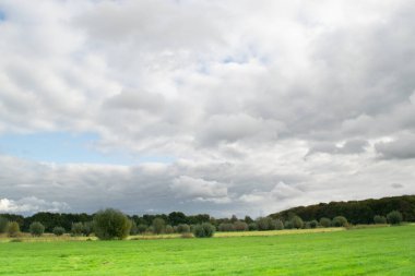 Hollanda 'nın Utrecht ilindeki Amelisweerd' in yanındaki Hollanda Çayırı manzarası