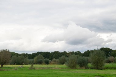 Hollanda 'nın Utrecht ilindeki Amelisweerd' in yanındaki Hollanda Çayırı manzarası