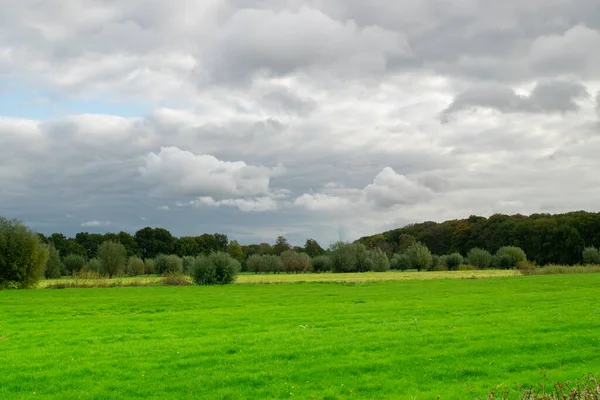 Paysage Prairie Hollandais Côté Amelisweerd Dans Province Utrecht Aux Pays — Photo