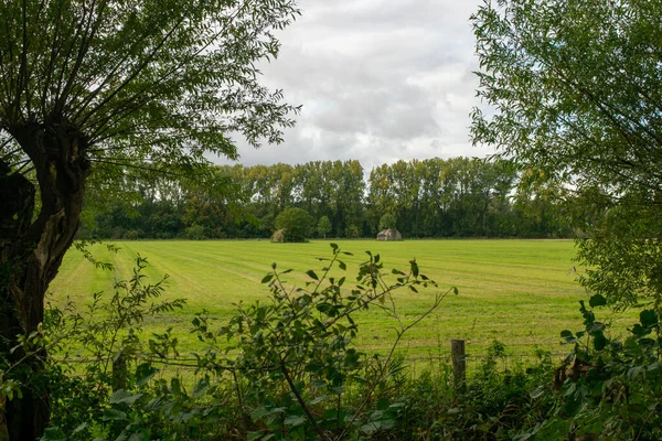 Plusieurs Bunkers Dans Paysage Herbeux Utrecht — Photo