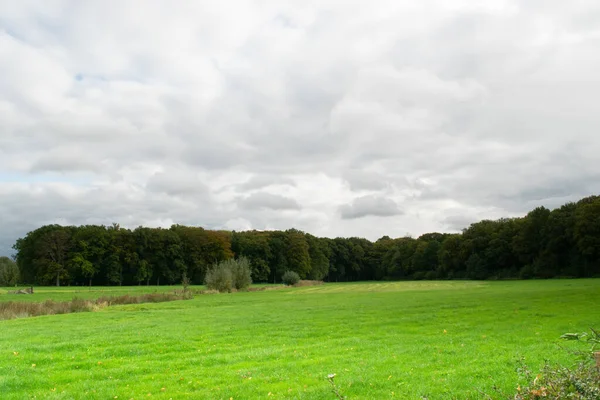 Nederländska Äng Gräs Landskap Bredvid Amelisweerd Provinsen Utrecht Nederländerna — Stockfoto