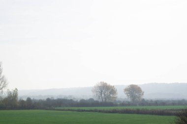 Hollanda, Avrupa 'da puslu polen manzarası