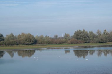 Gelderland, Hollanda 'daki oude Waal manzarası