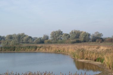 Hollanda 'nın Nijmegen şehrinin ufuk çizgisi önündeki Oude Waal, Gelderland
