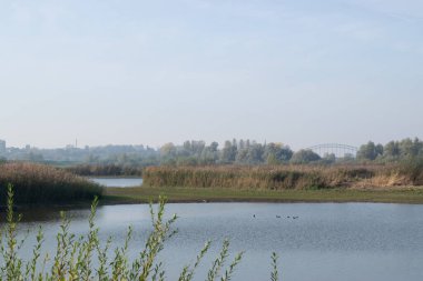 Hollanda 'nın Nijmegen şehrinin ufuk çizgisi önündeki Oude Waal, Gelderland