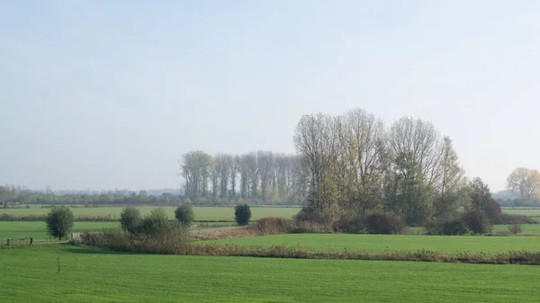 Misty Nederländska Polder Landskap Nederländerna Europa — Stockfoto