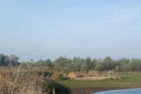 Vista Saída Waal Gelderland Holanda — Fotografia de Stock