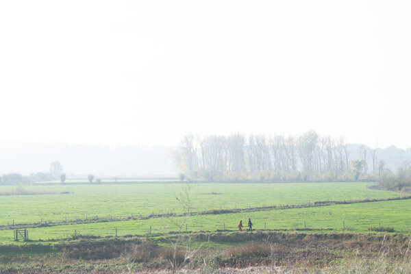 Misty Dutch polder landscape in the Netherlands, Europe