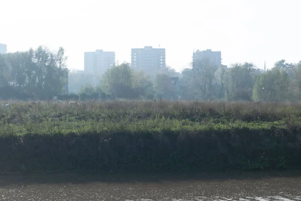 Der Oude Waal Vor Der Skyline Der Niederländischen Stadt Nijmegen — Stockfoto