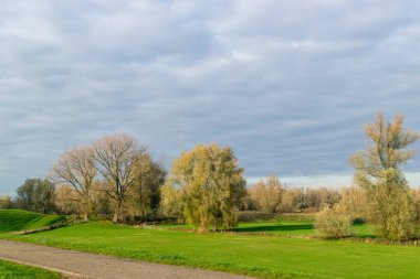 Mavi gökyüzünün altında hendekli ve küçük yolu olan Hollanda manzarası