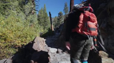 Tecrübeli bir yürüyüşçü, canlı ve gür bir orman içinde zorlu ve engebeli bir yolda ustaca yol alır. Doğadaki maceraların güzelliğini ve heyecanını gözler önüne serer.