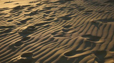 Oregon sahili boyunca güneşli kum tepeciklerini aşan ayak izleri, dalgalı desenleri, sıcak tonları ve Pasifik kıyı şeridi yakınlarında rüzgar ve zamanla şekillenen minimalist dokuları ortaya çıkarıyor..