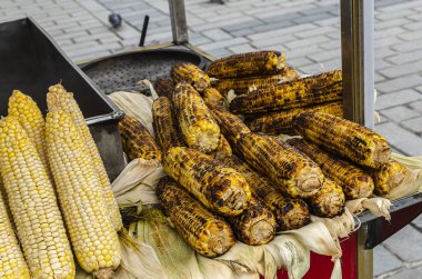 Tuz ve baharatla kızartılmış mısır. Karanlık arka plan. Yazın fast food.