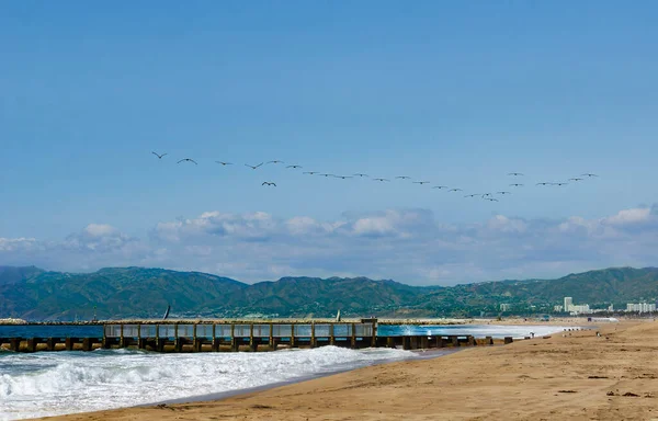 Los Angeles, California, kumlu okyanus kıyısı ufukta dalgalar sahile çarpıyor..