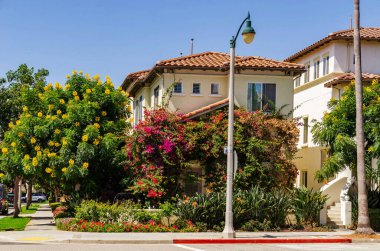 Kaliforniya Los Angeles bölgesi Rlya Vista 18 Ağustos 2025 Güzel modern evleri, palmiyeleri ve çiçek açan ağaçları olan sokaklar.