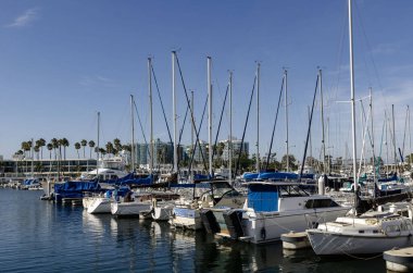 Amerika California Marina del Rey Modern marinası sakin liman, palmiye ağaçları ve şehir siluetine kenetlenmiş yat ve yelkenli tekneleri ile