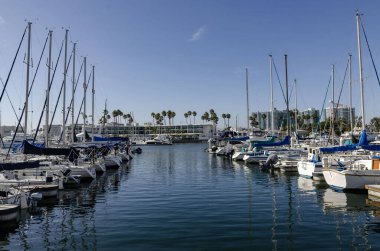 Amerika California Marina del Rey Modern marinası sakin liman, palmiye ağaçları ve şehir siluetine kenetlenmiş yat ve yelkenli tekneleri ile