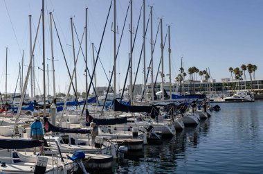 Amerika Kaliforniya Marina del Rey 21 Ağustos 2025 Sakin liman, palmiye ağaçları ve şehir siluetine kenetlenmiş yelkenli ve yatları olan modern marina